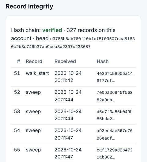 Record integrity: the SHA-256 hash chain verified, with each record's hash